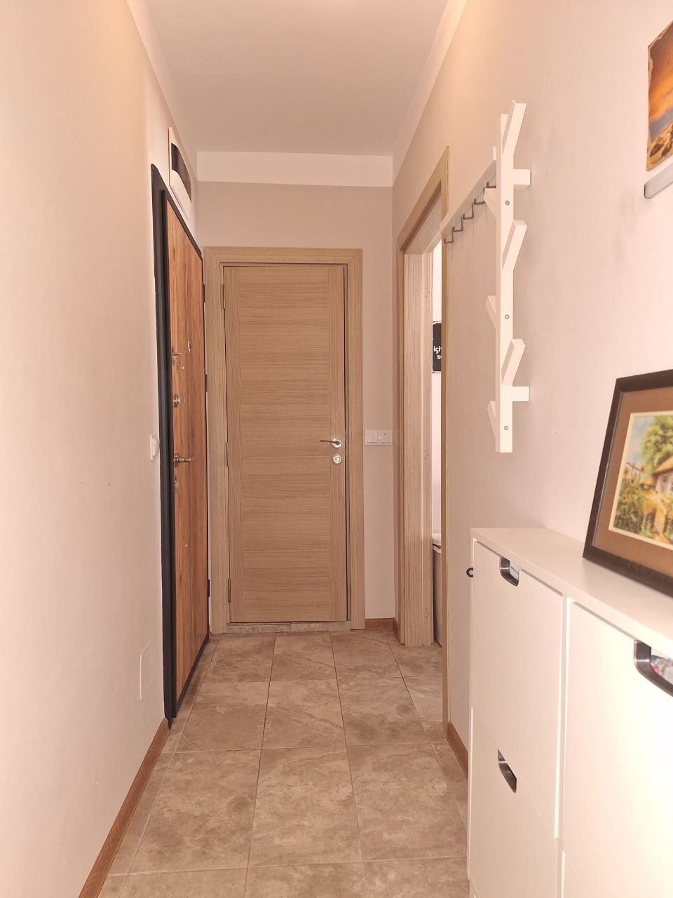Амелия 6