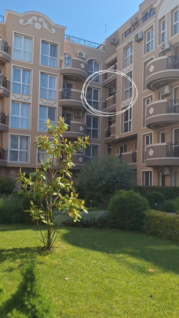 Амелия 9